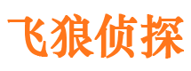 雁峰侦探